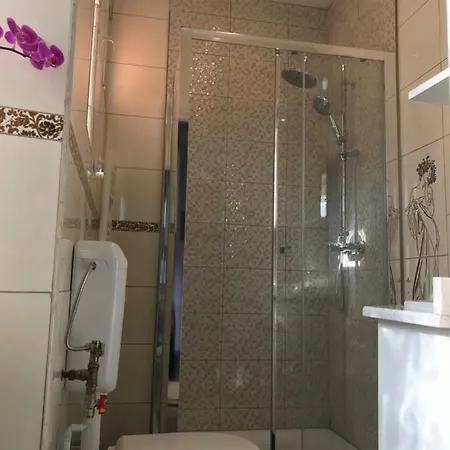 9 Central Apartment Brasov